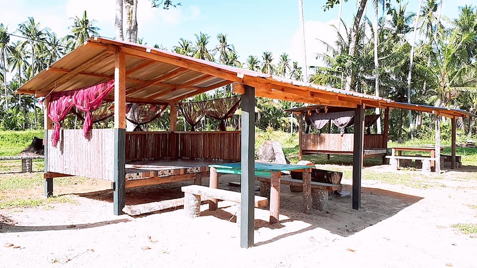 44897498_502241170277255_5854153644080889856_n