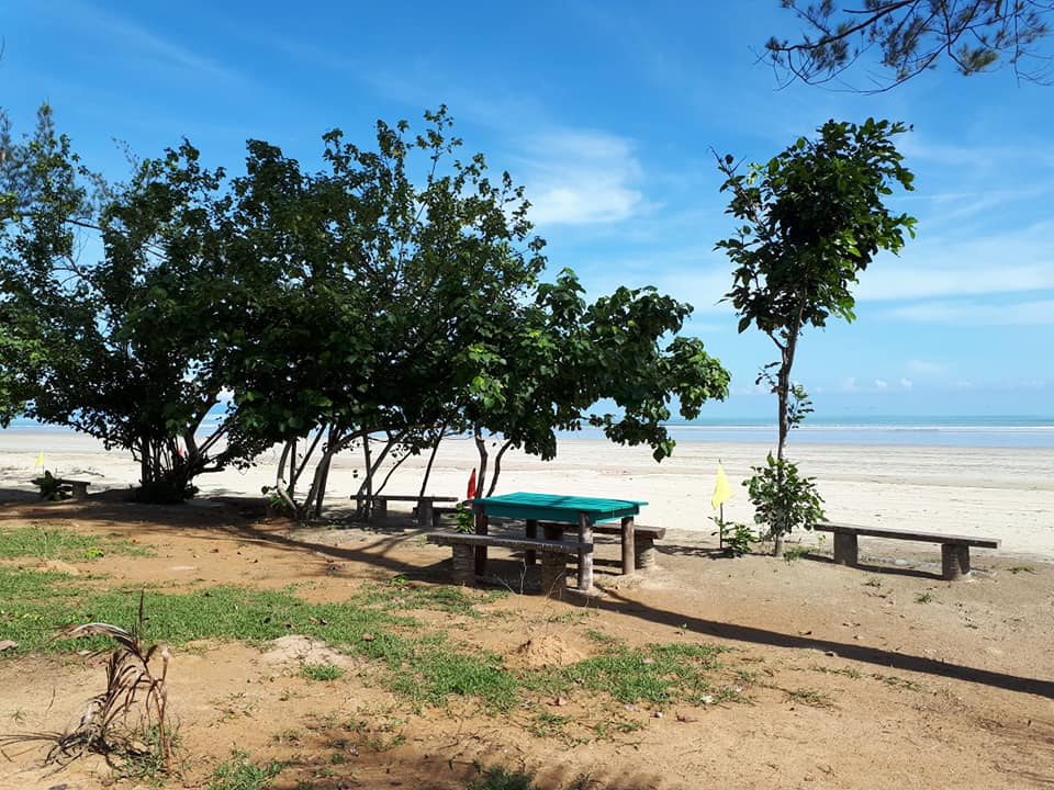 44912890_502243433610362_2451812089858097152_n