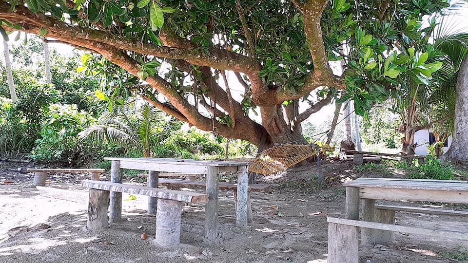 44939954_502243583610347_2261834755664248832_n